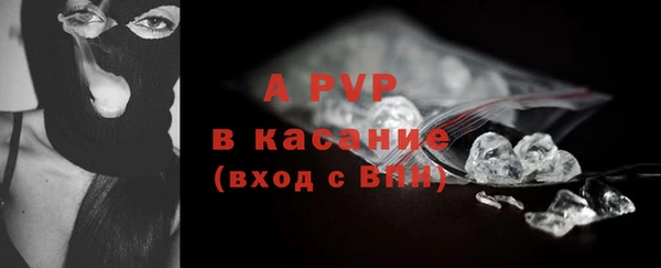PSILOCYBIN Горно-Алтайск