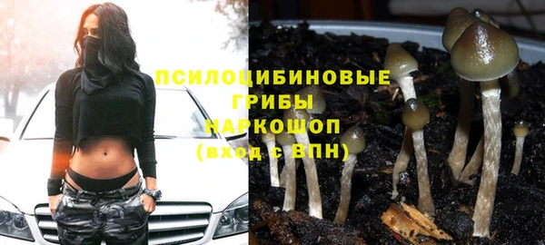 соль ск Горняк