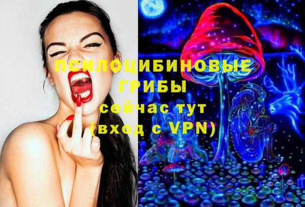 2c-b Горнозаводск