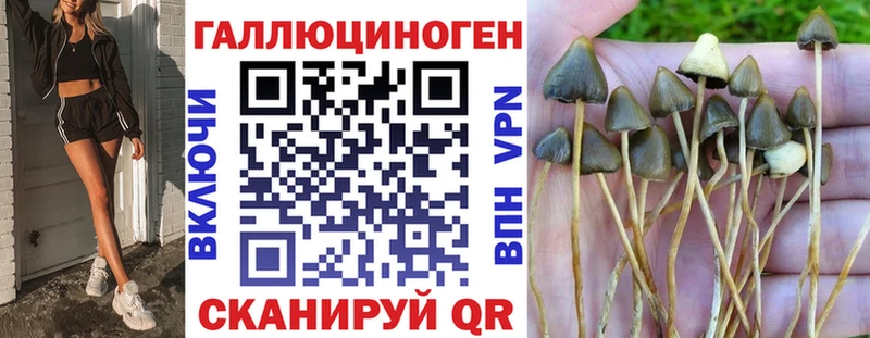 ОМГ ОМГ сайт  Долгопрудный  Галлюциногенные грибы Cubensis 